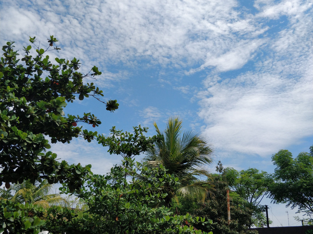 The Flea Market Seminyak-水明漾必去景点