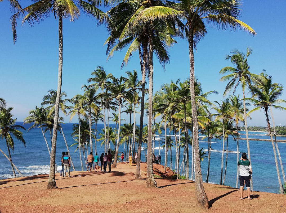 Coconut Tree Hill-美蕊沙必去景点
