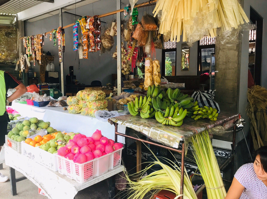 Bali Fat Bike Cycling-达巴南必去景点