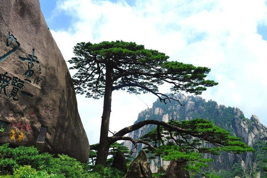 Visit Our China-黄山市必去景点