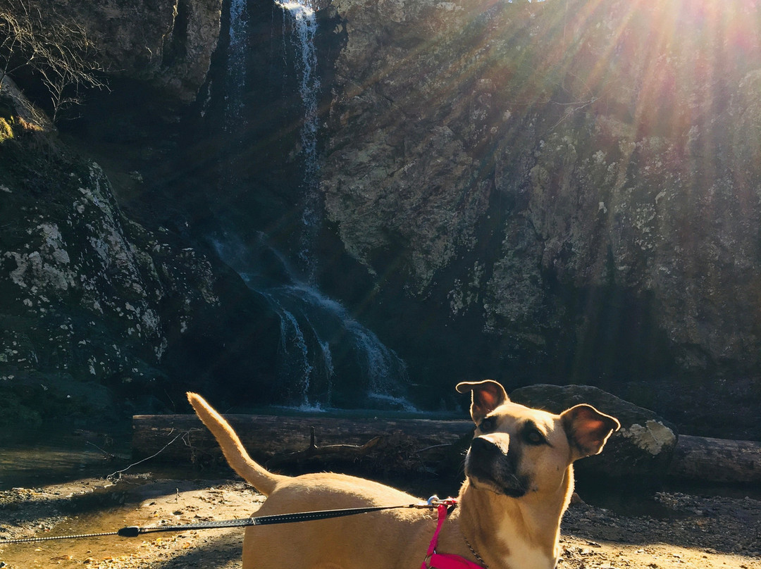 High Shoals Falls-达拉斯必去景点