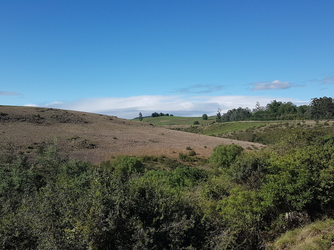 Granny Mouse Country House主图