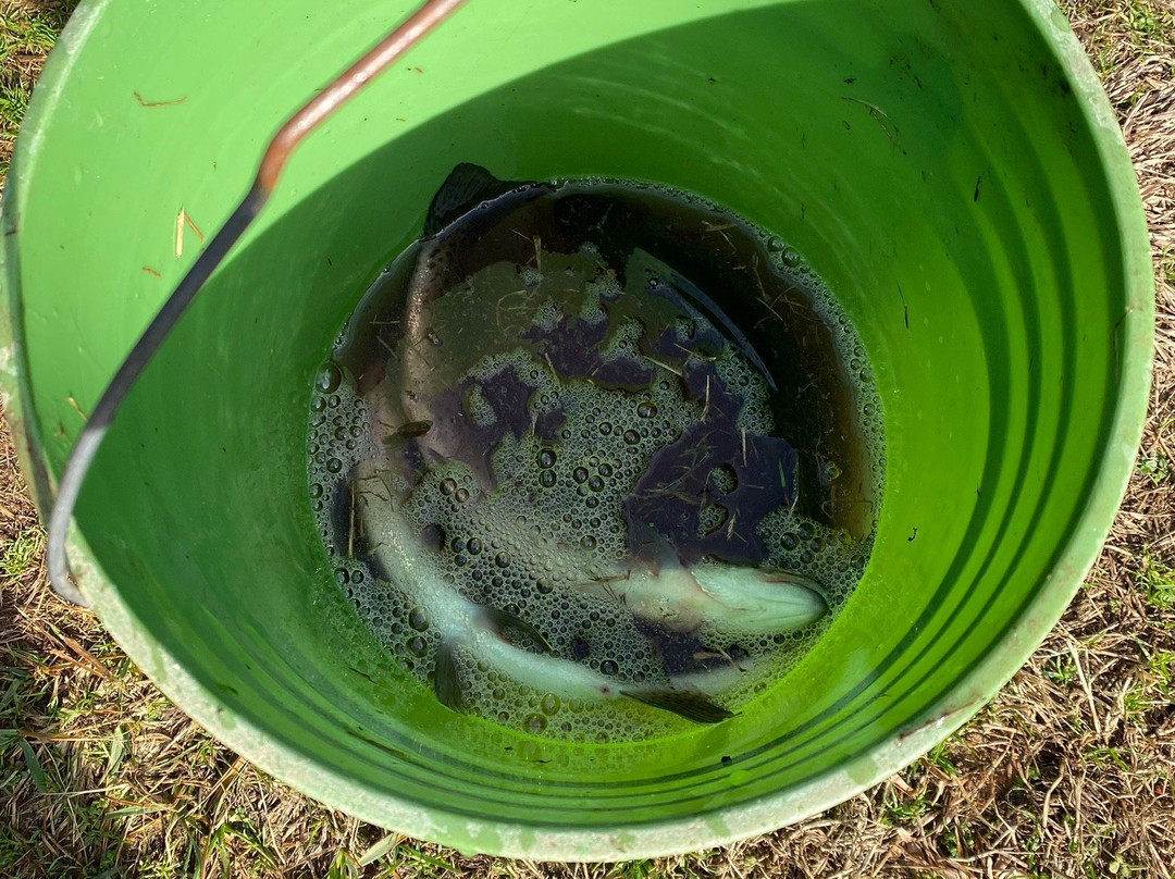 Cooper Creek Trout Farm & Pond景点图片