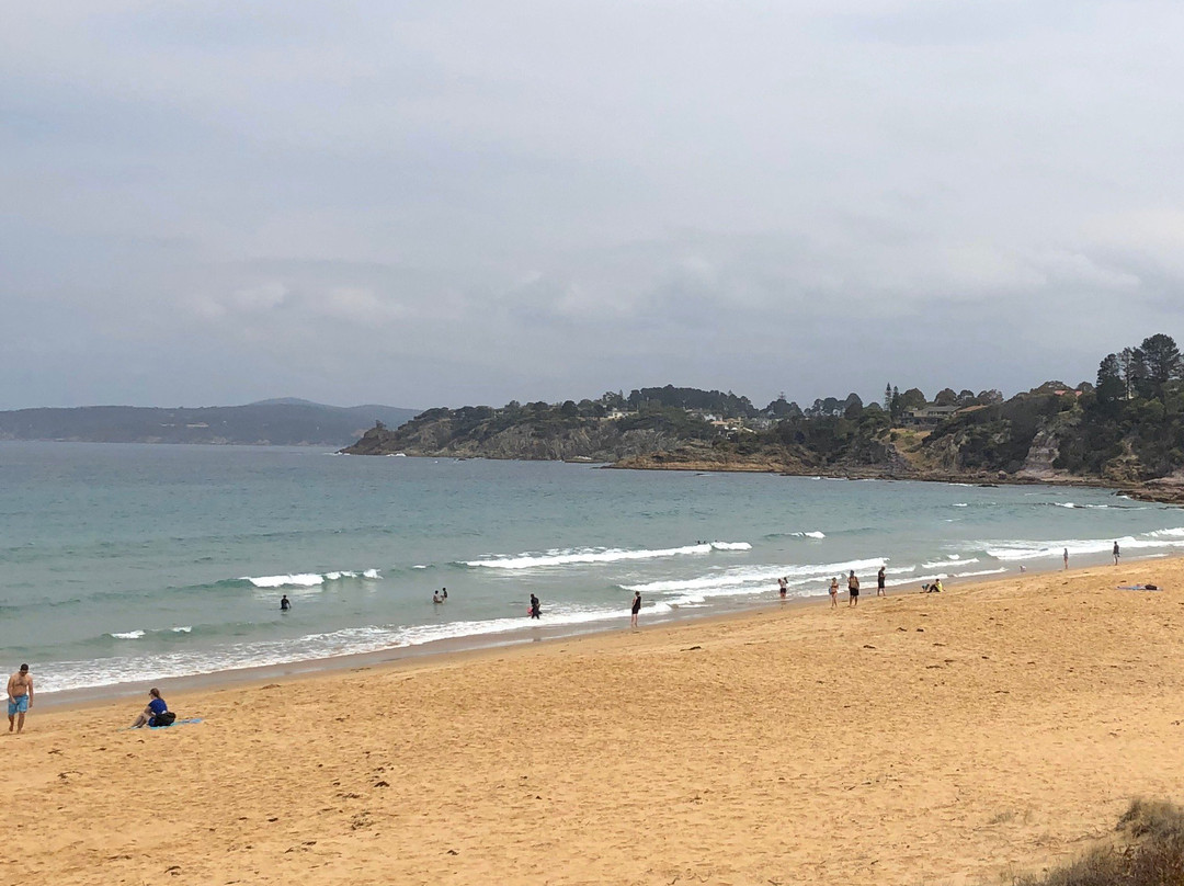 Aslings Beach Boardwalk-伊登港必去景点
