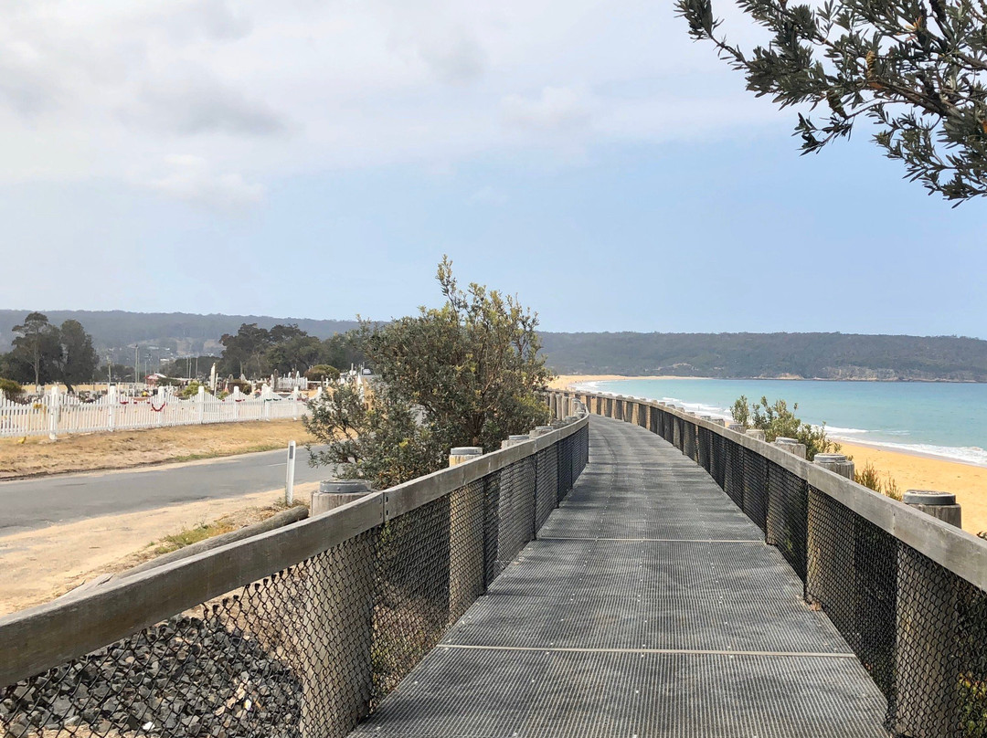 Aslings Beach Boardwalk-伊登港必去景点