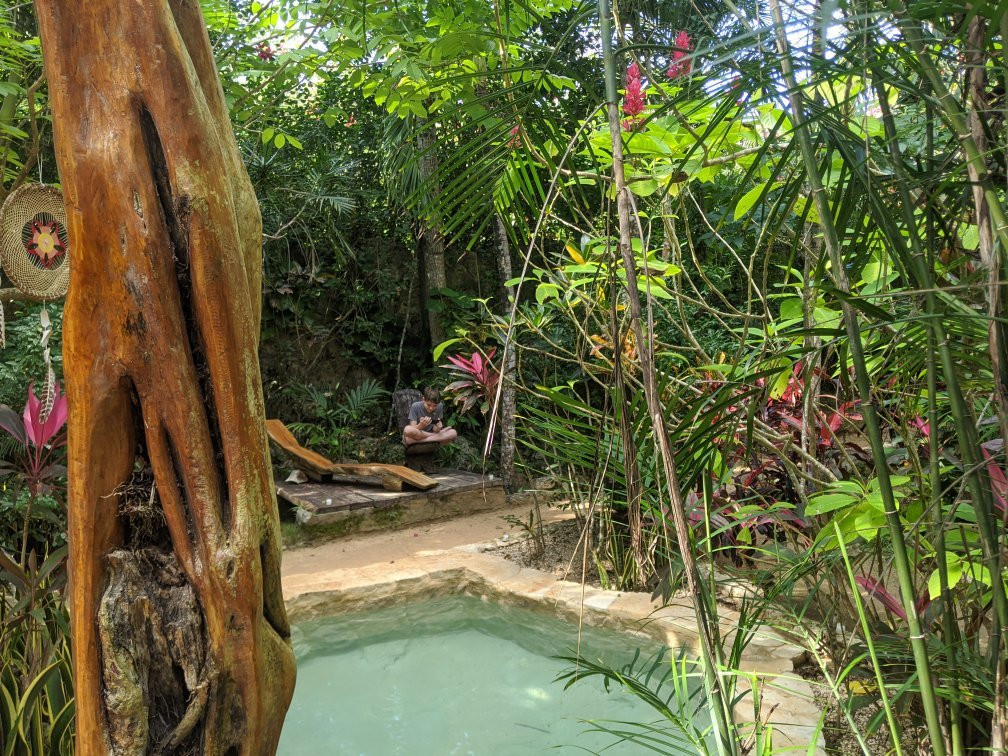 La Selva Mariposa主图