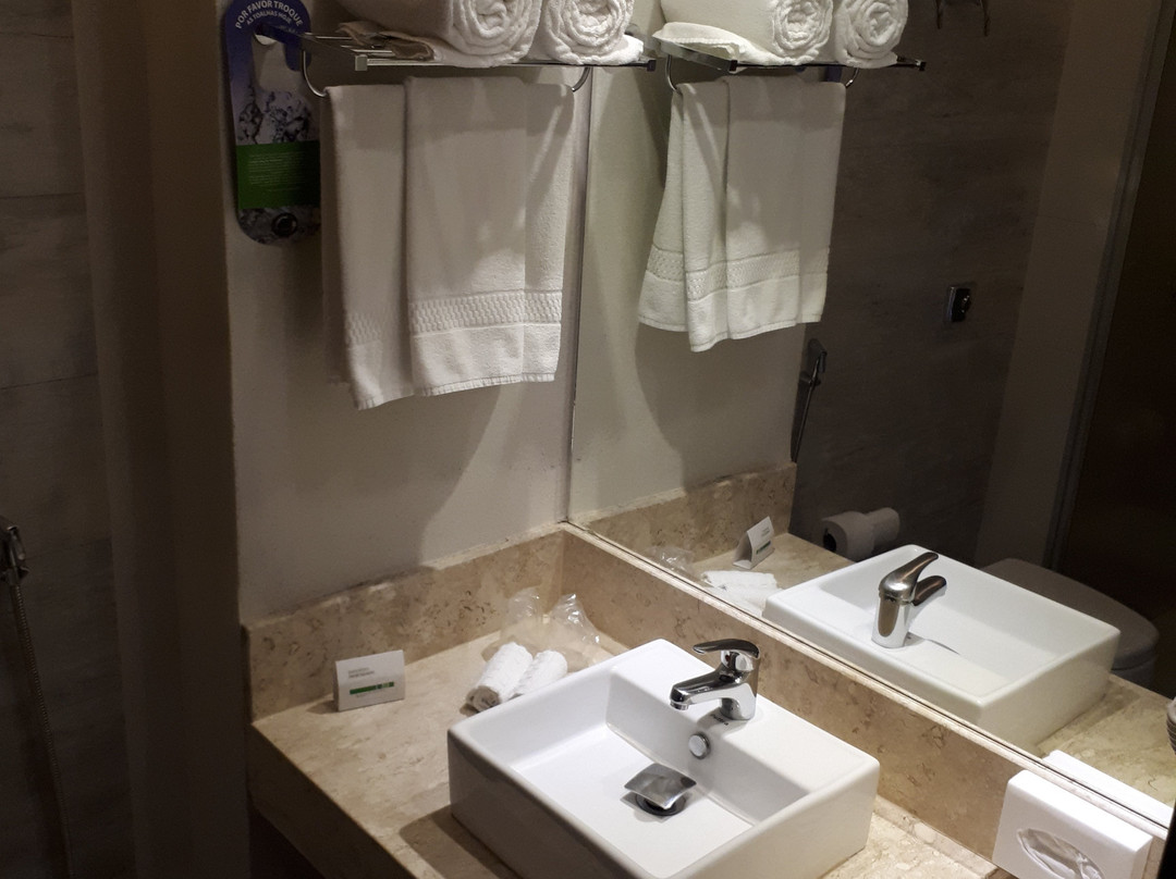 Holiday Inn Goiania By IHG主图