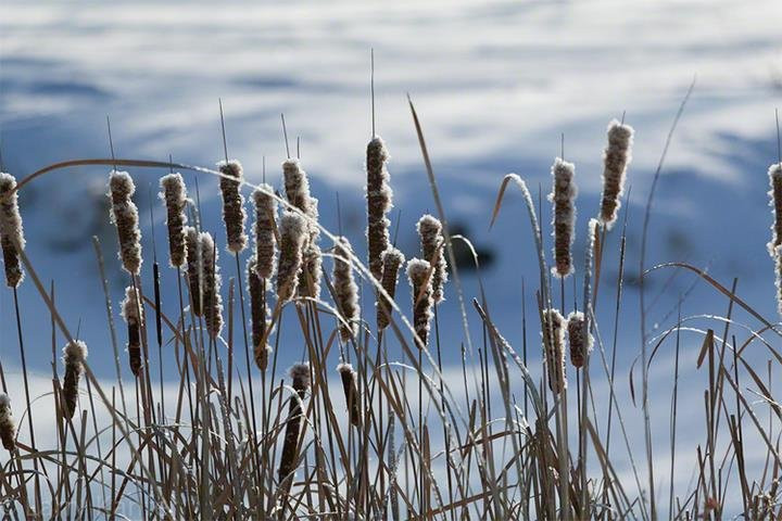 Larry Kanfer Photography-尚贝恩必去景点