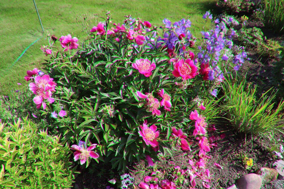 Gatiss Gardens-卡利斯佩尔必去景点