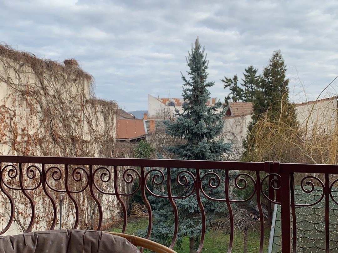 Curtea Bavareza主图