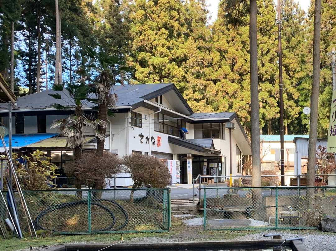 Hinode-machi Shizen Kyuyomura Sakanaen