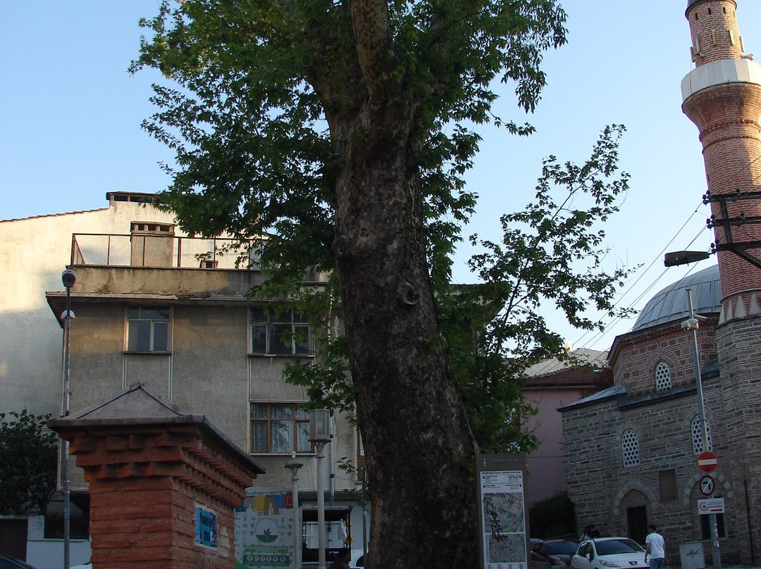 Ibrahim Pasa Cesmesi景点图片