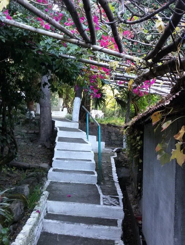 Rosastays Jeolikote, Nainital主图