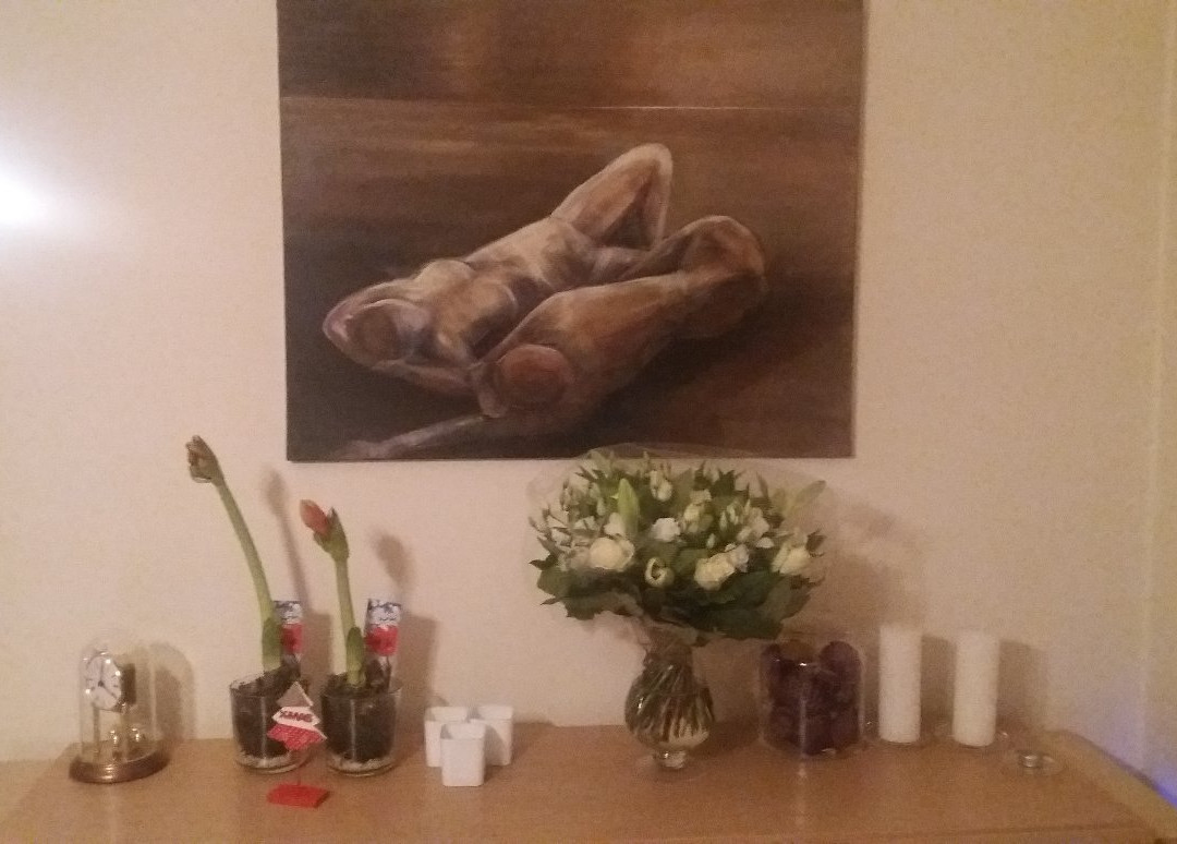 Kamer + Douche In Villa主图