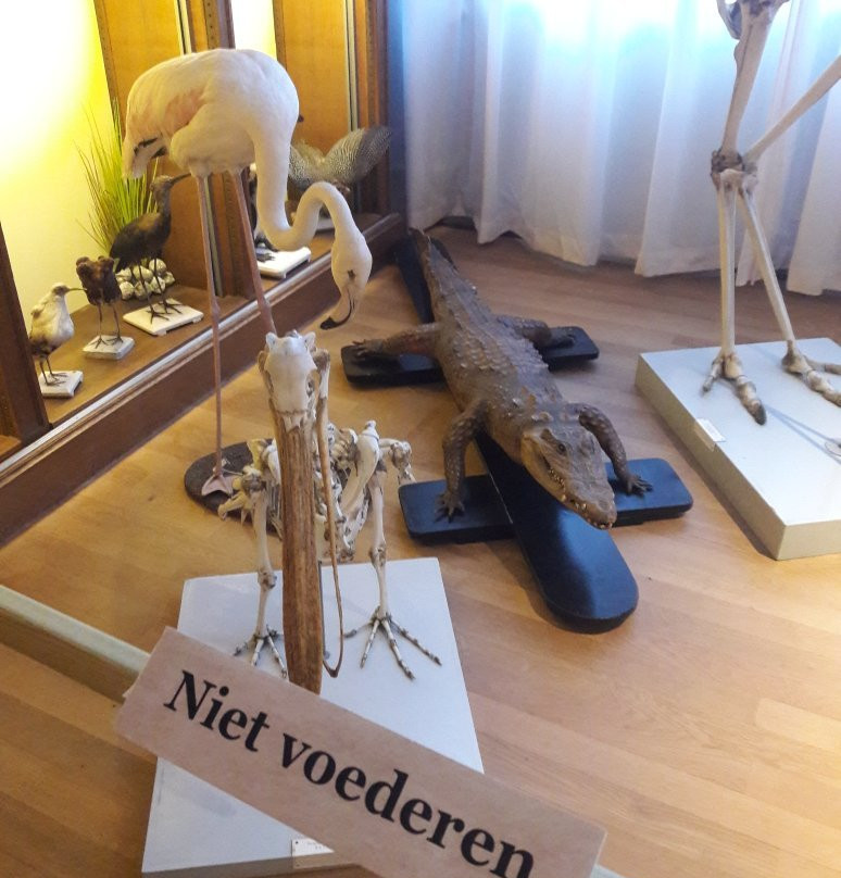 University Museum Groningen-格罗宁根省必去景点