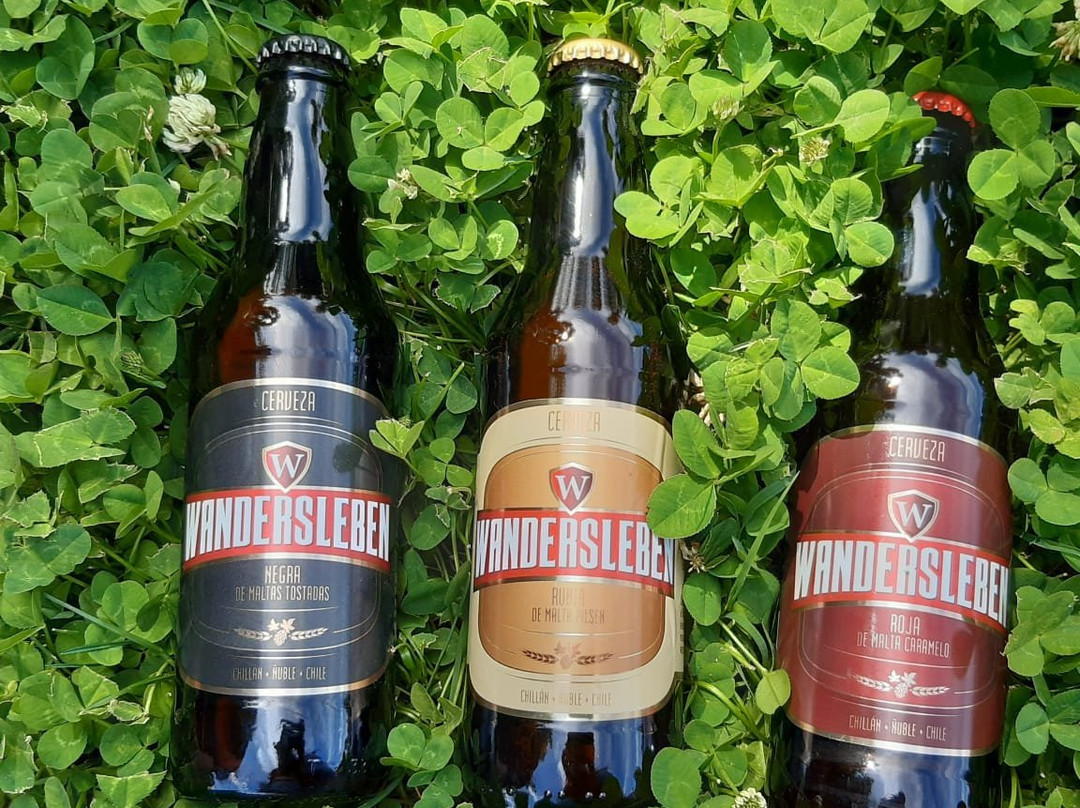 Cerveceria Wandersleben