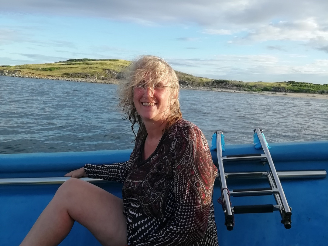 Tintamarre Island-圣马丁岛必去景点