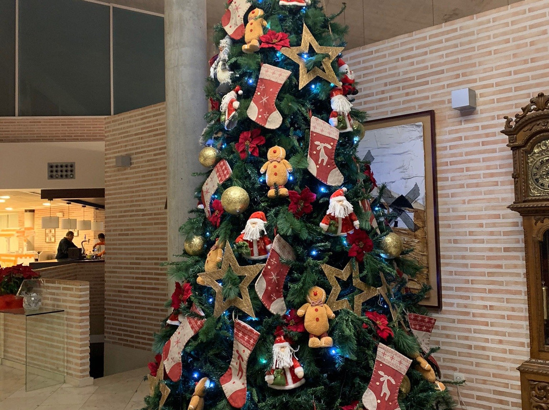 Isla de La Garena Hotel主图