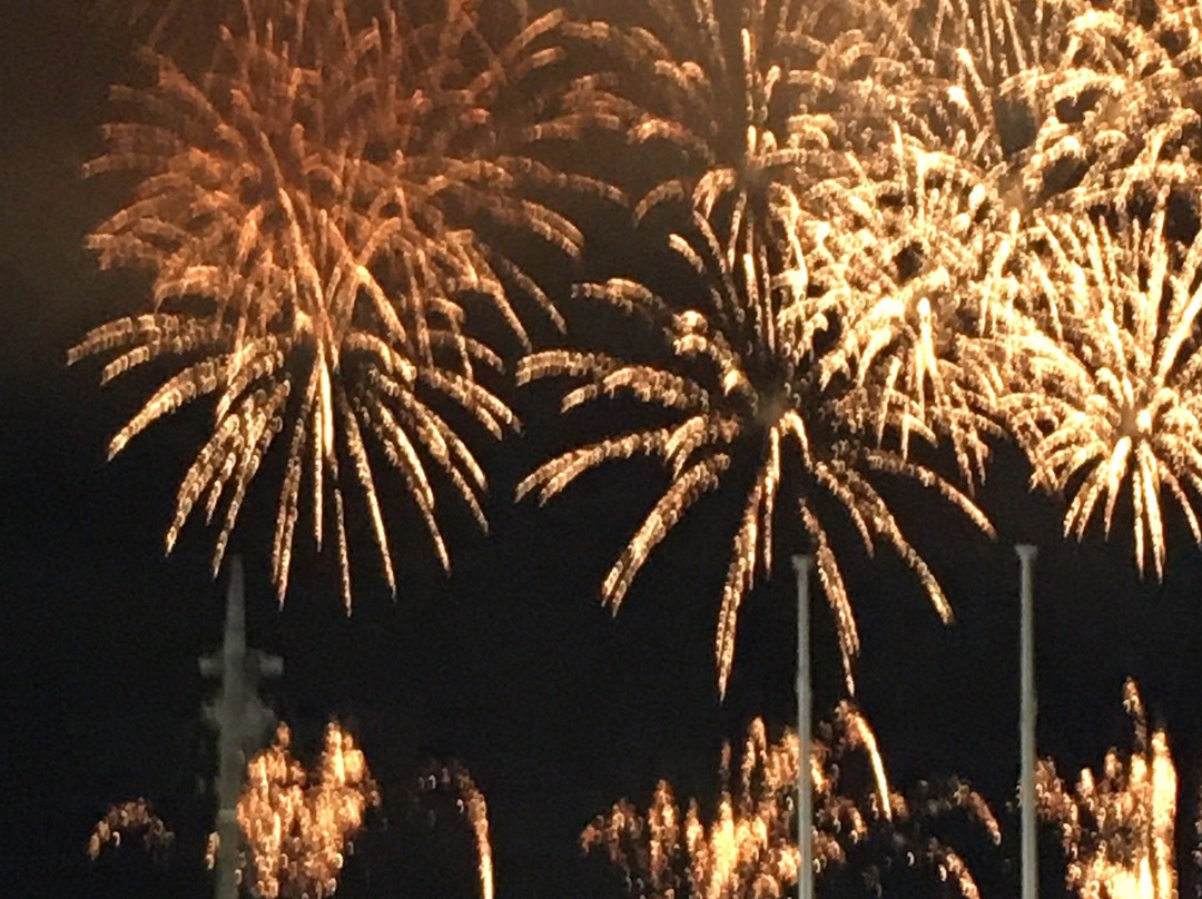 Chichibu Yomatsuri-秩父市必去景点