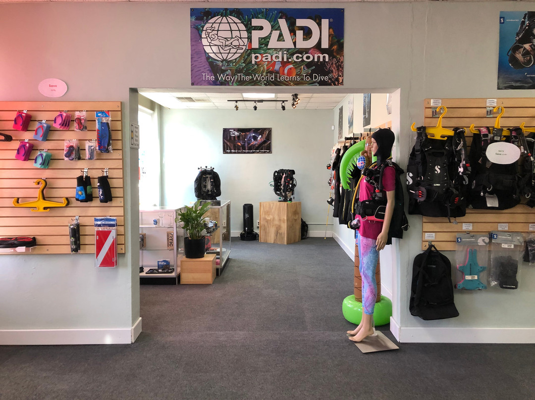 Bubbles or Not-Harlem必去景点