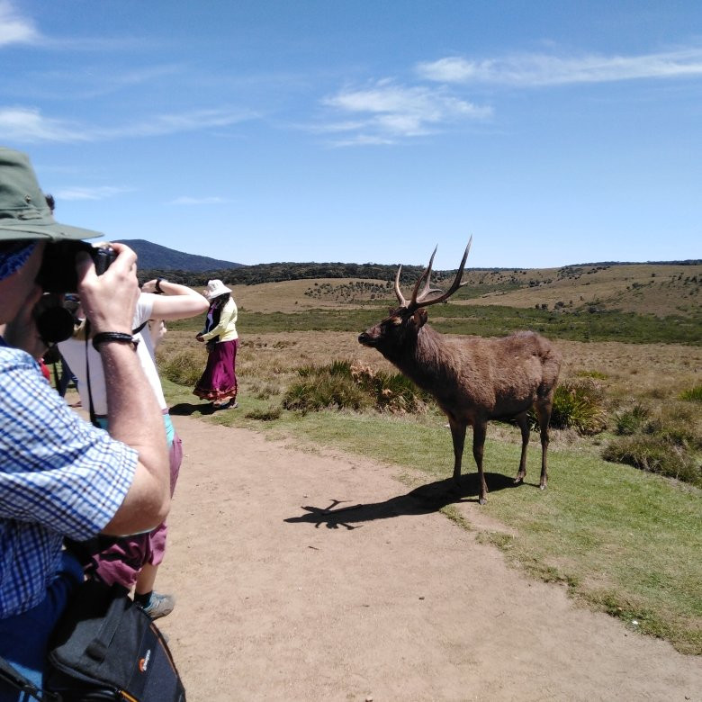 Nuwara Eliya Day Tours-奴娃拉伊利雅必去景点