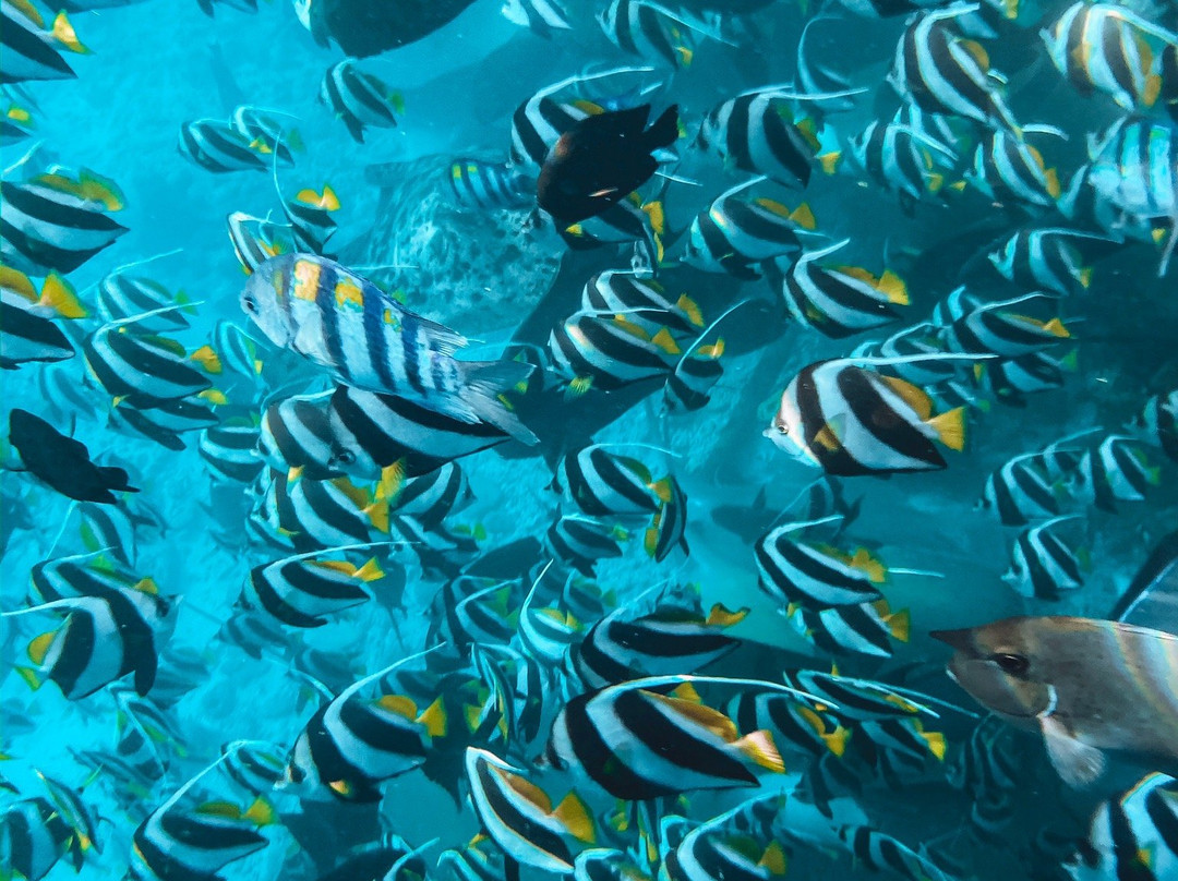 Hulhumale' Excursions & Tours-胡鲁马累必去景点