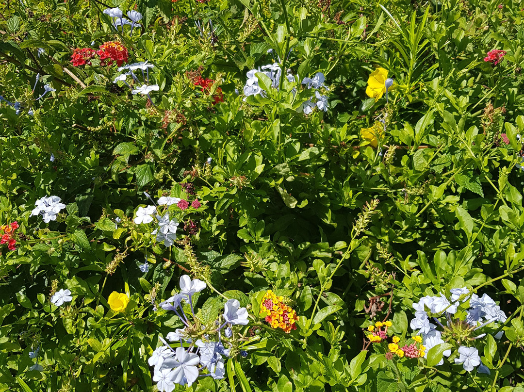 Finca Sueno La Palma
