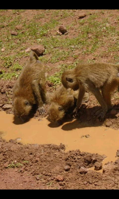 Pottos Adventures-阿鲁沙必去景点