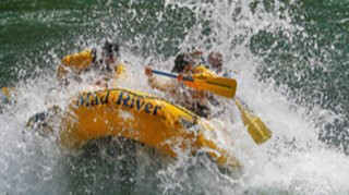 Mad River Boat Trips景点图片