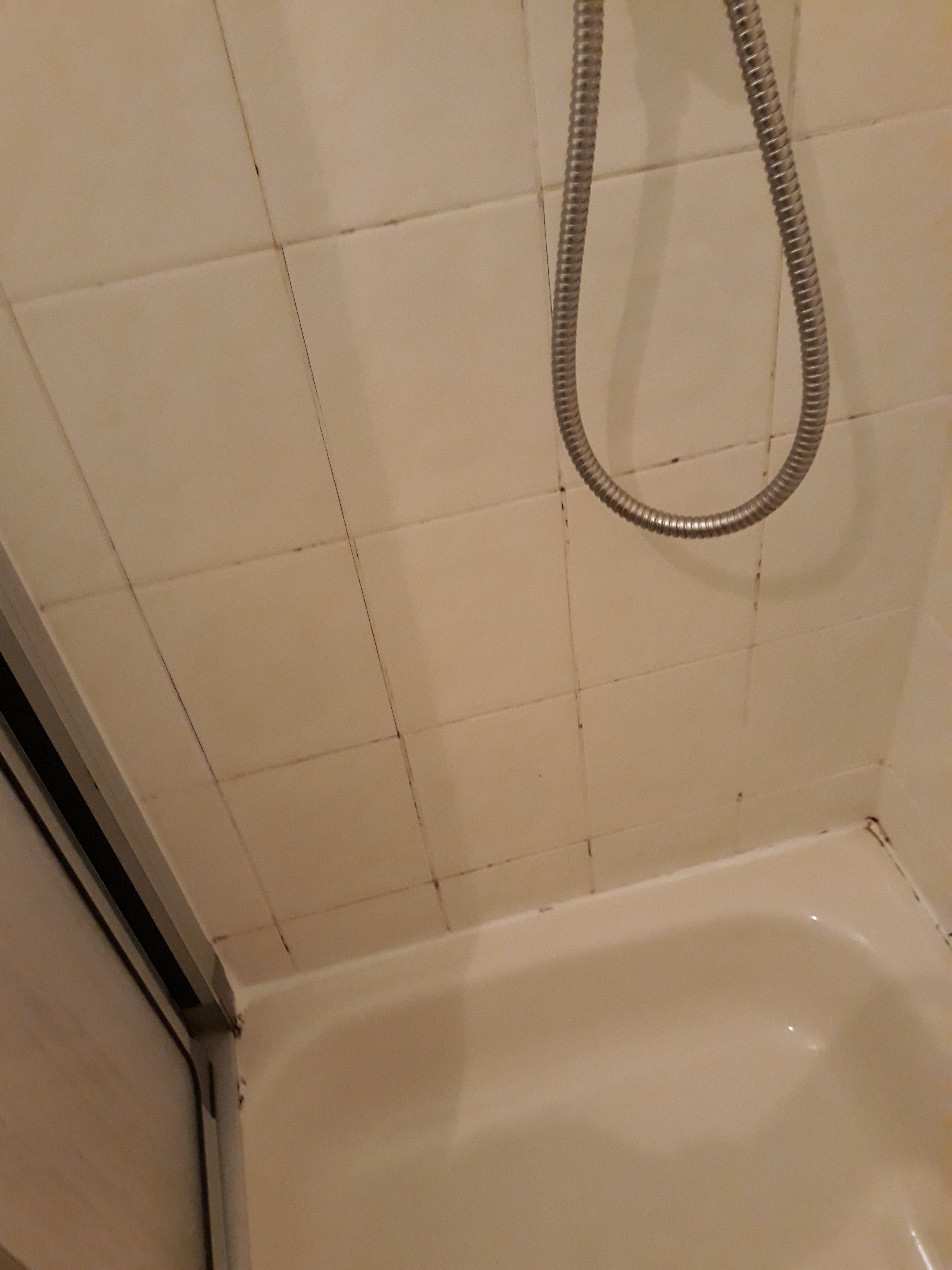 Hotel Schlangenbader Hof-浴室