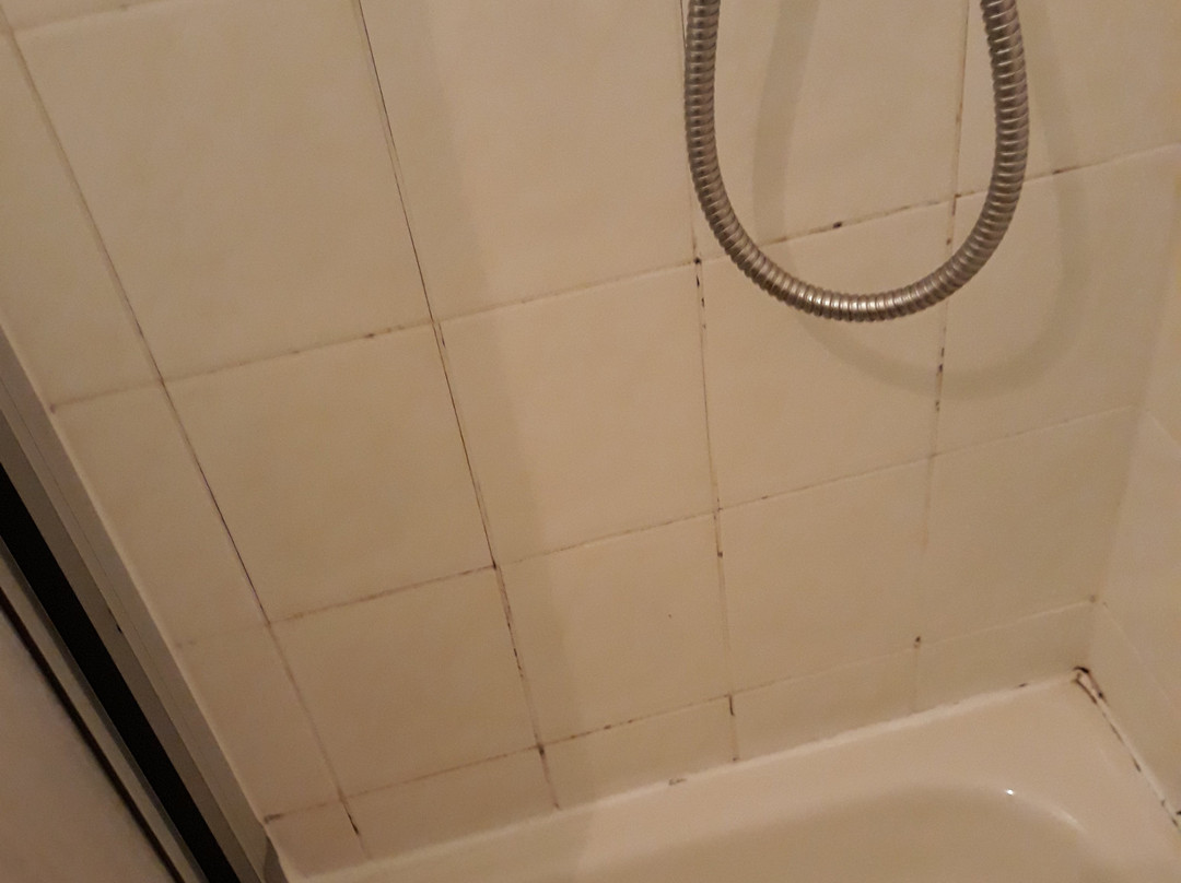 Hotel Schlangenbader Hof主图