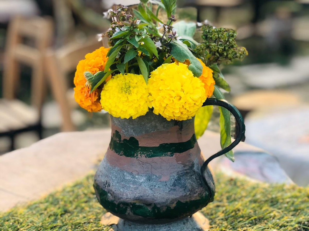 Lydia Park Nature-萨利赫利必去景点