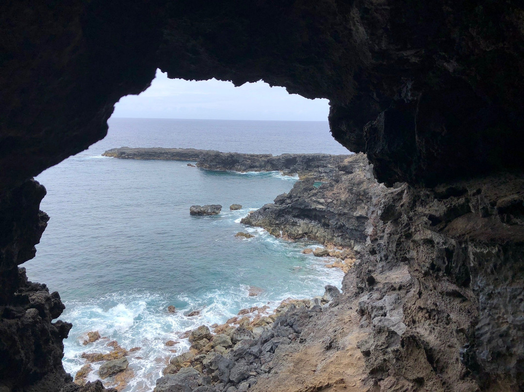 Kava Kava Tours-安加罗阿必去景点