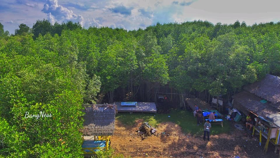 Mangrove Forest Dumai-Dumai必去景点