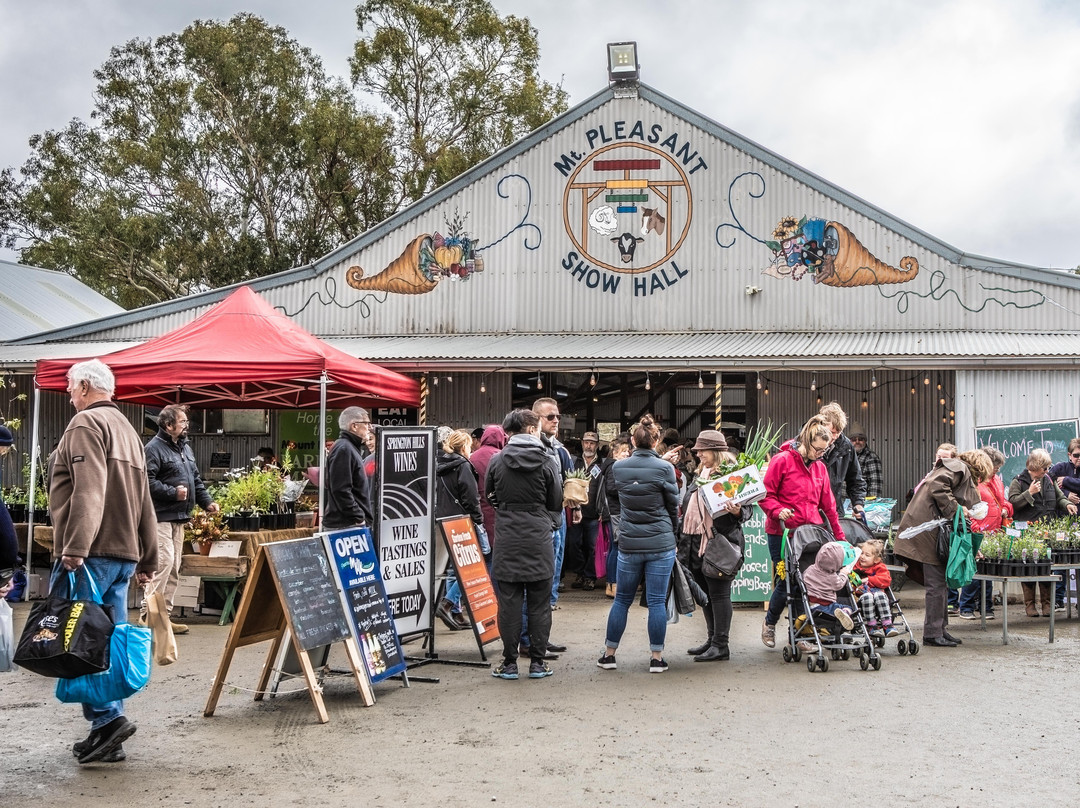 Mount Pleasant Farmers Market景点图片