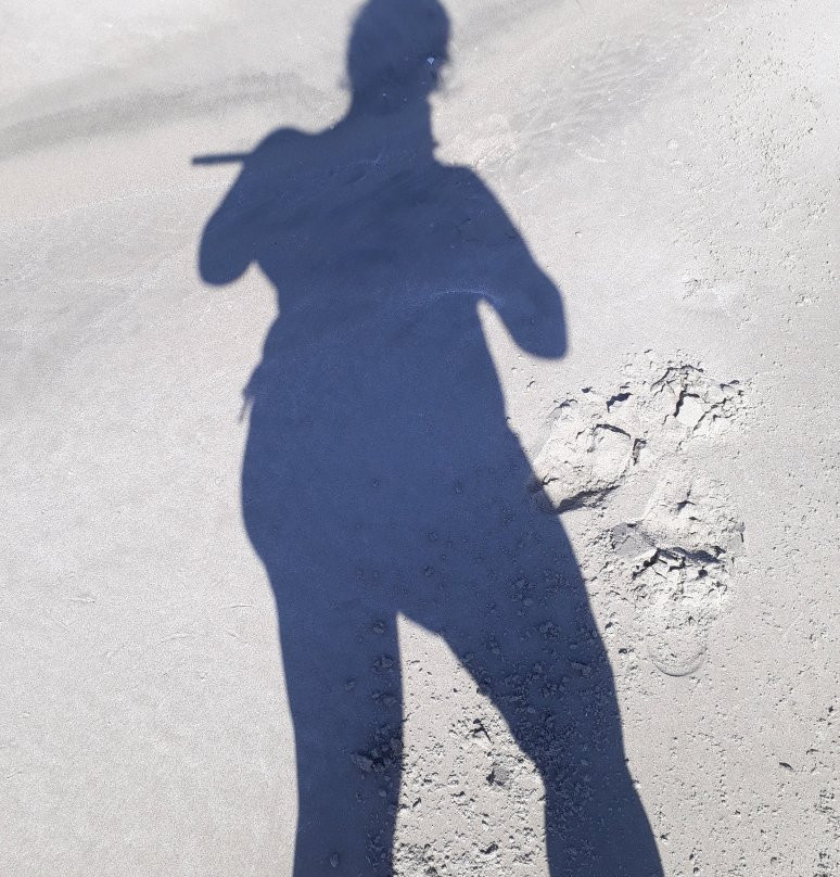 Playas Socos-Tongoy必去景点