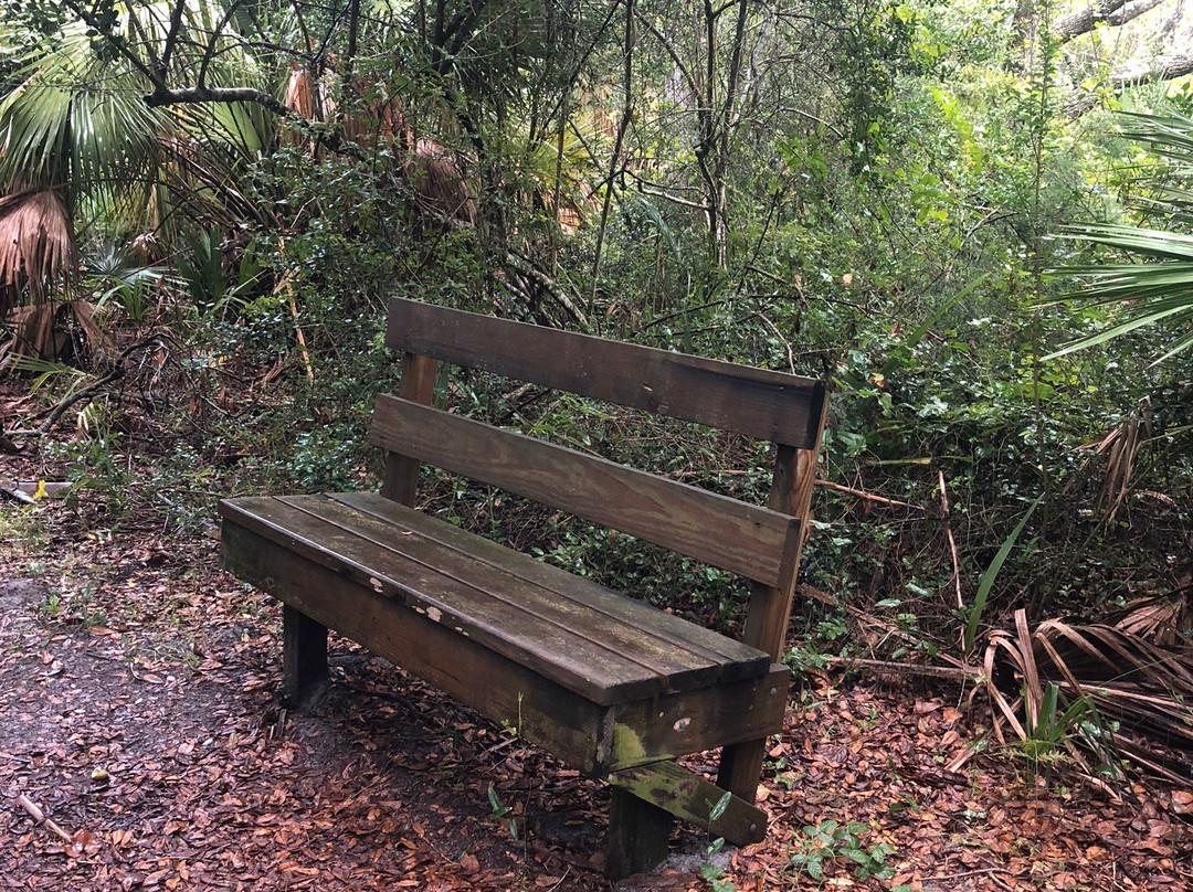 North Peninsula State Park-Flagler Beach必去景点
