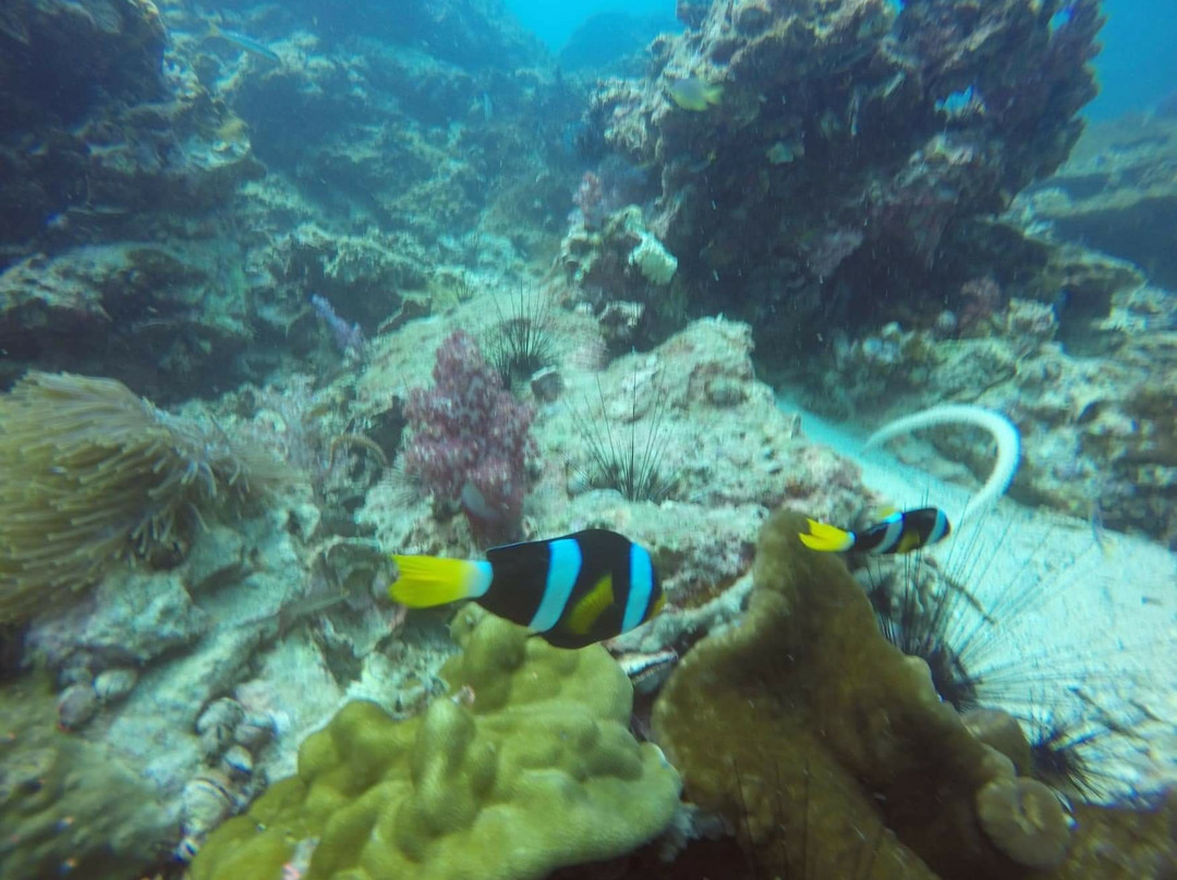 Luna Diving-拉威必去景点