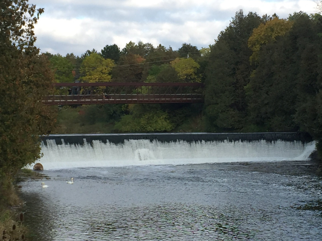 Bissell Park-伊劳拉必去景点