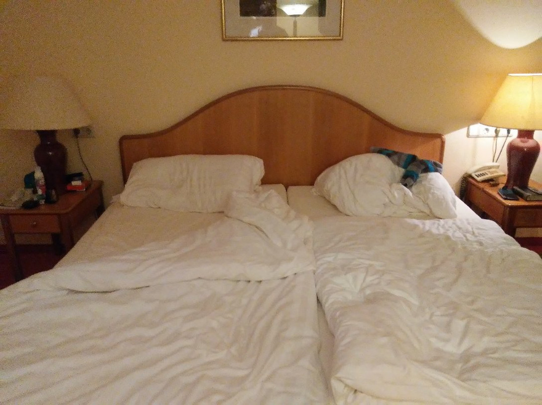 Hotel Restaurant Seerose Ug主图