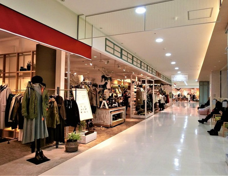 Maruyama Class-札幌市必去景点