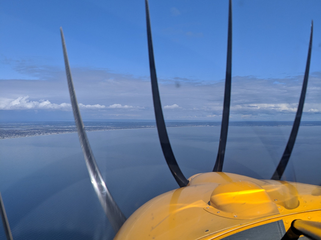 Soar Aviation景点图片