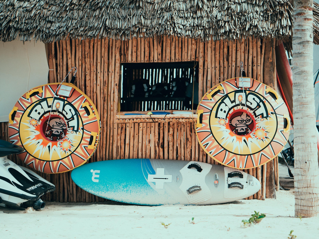 Tanzania Serengeti Safaris-桑给巴尔岛必去景点