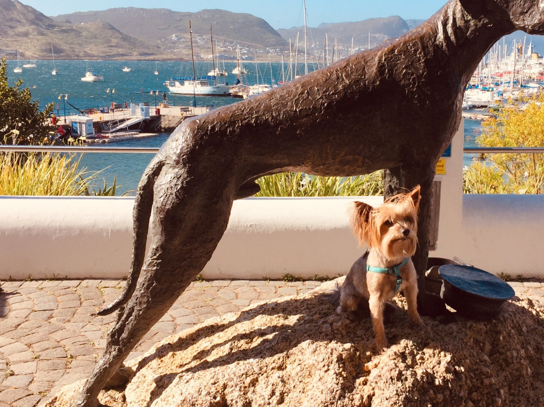 Just Nuisance-西门镇必去景点