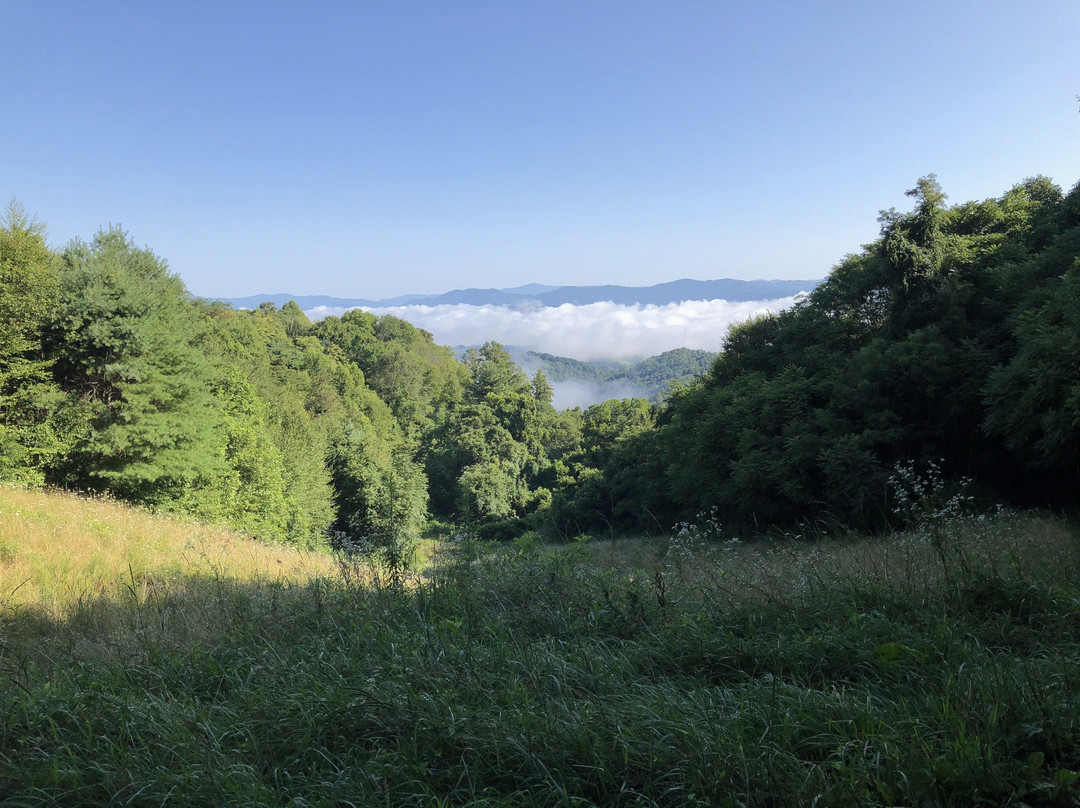 Wild Harmony Hiking Trail Park景点图片