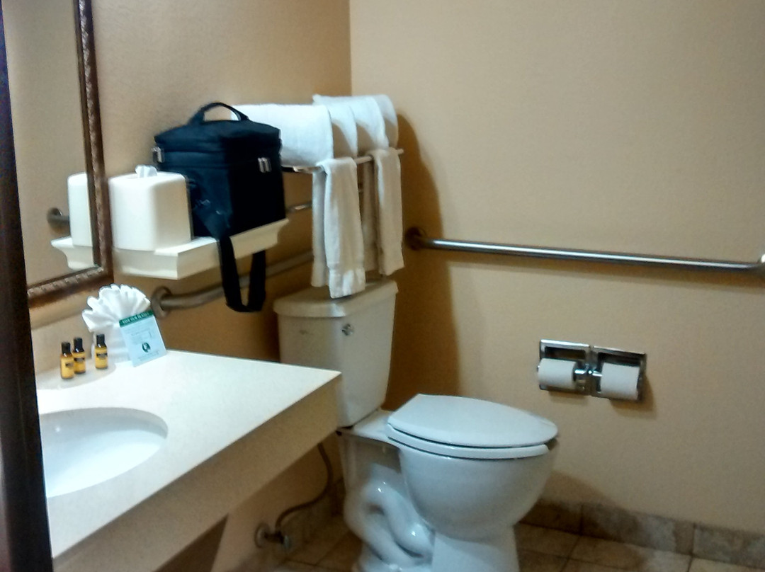 科洛尼皇冠贝斯特韦斯特优质套房酒店主图