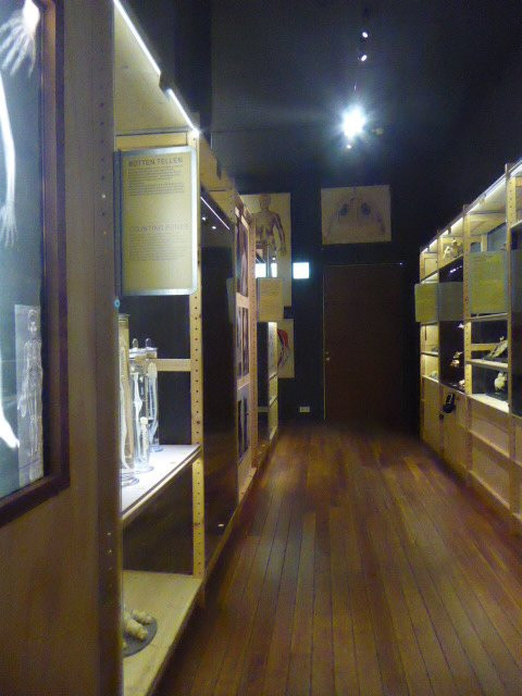 Universiteitsmuseum Utrecht-乌特勒支必去景点