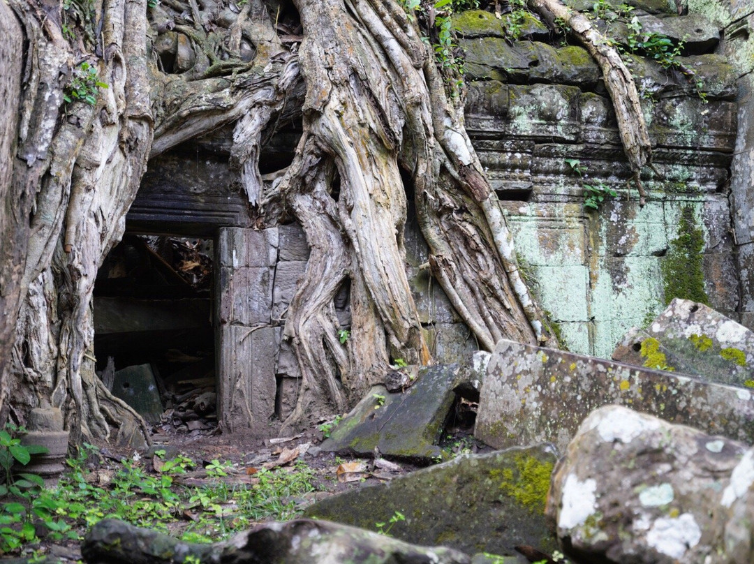 Sightseeing Cambodia-暹粒必去景点