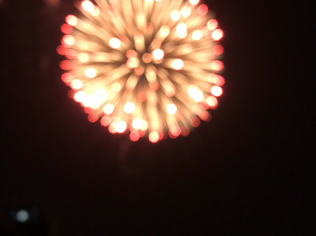 Chikugo River Fireworks景点图片