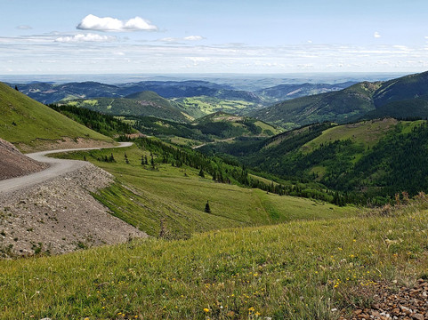 Wild Rose Adventures Bicycle Tours-卡尔加里必去景点